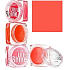 Miss Sports Ultra Shine Gloss Lipgloss 005 3,8 g