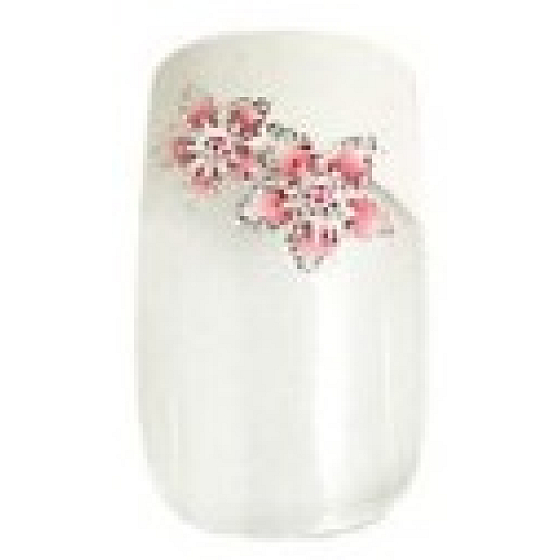 Diva & Nice Natureasy Nails Dekorierte Klebenägel klar mit weiß-rosa Anwendung 24 Stück + Kleber 2 g