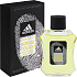 Adidas Intense Touch AS 100 ml Herren Aftershave