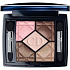 Christian Dior 5 Couleurs Palette mit 5 Lidschatten Rosy Tan 754 Farbton 6 g
