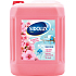 Sidolux Universal Japanese Cherry universeller Oberflächenreiniger, 5 l