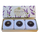 Englische Seife Englische Lavendel-Naturseife mit Sheabutter 3 x 100 g