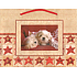 Albi Geschenk Papiertüte 23 x 18 x 10 cm Weihnachten TM3 99082