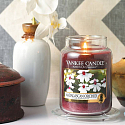 Yankee Candle Madagascan Orchid - Orchidee aus Madagaskar Duftkerze Klassisches mittleres Glas 411 g
