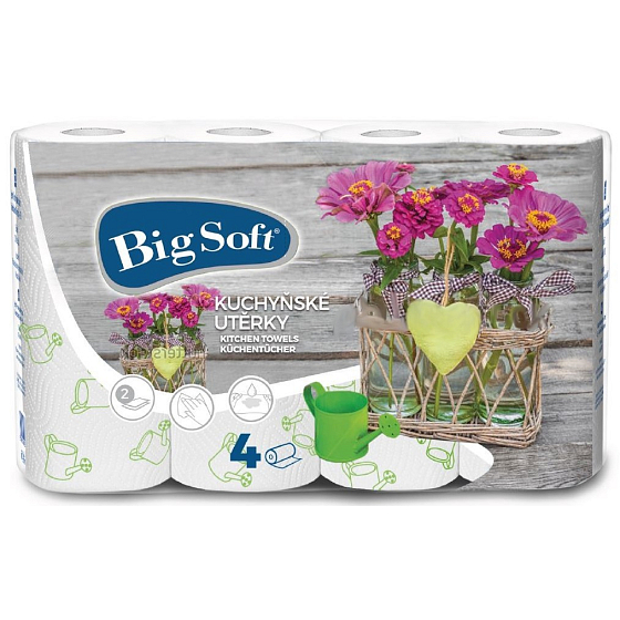 Big Soft Spring Papier Küchentücher mit Druck 2 Schichten 4 Stück