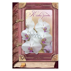 Ditipo Spielkarte für das Hochzeitsbuch des Lebens Weiße Orchidee Eva und Vašek 224 x 157 mm