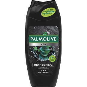 Palmolive Duschgel und Shampoo Men Refreshing 3in1, 250 ml
