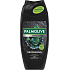 Palmolive Duschgel und Shampoo Men Refreshing 3in1, 250 ml