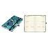Albi Pocket Diary 2025 mit Gummiband - Pflanzen 9,3 x 15 x 1,3 cm