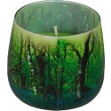 Essences of Life Forest Duftkerze im Glas 100 g