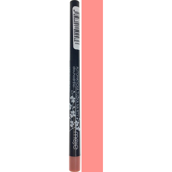 Mein langer Lippenstift 01 1 g