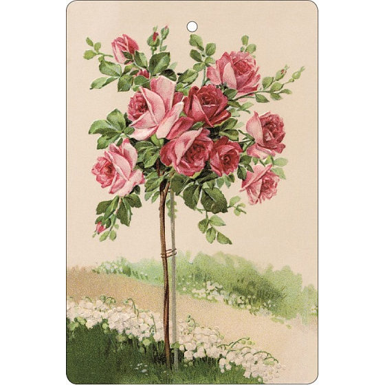 Böhmen Geschenke Aromatisch duftende Karte Rose 10,5 x 16 cm