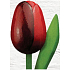 Böhmen Geschenke Holztulpe dunkelrot 20 cm