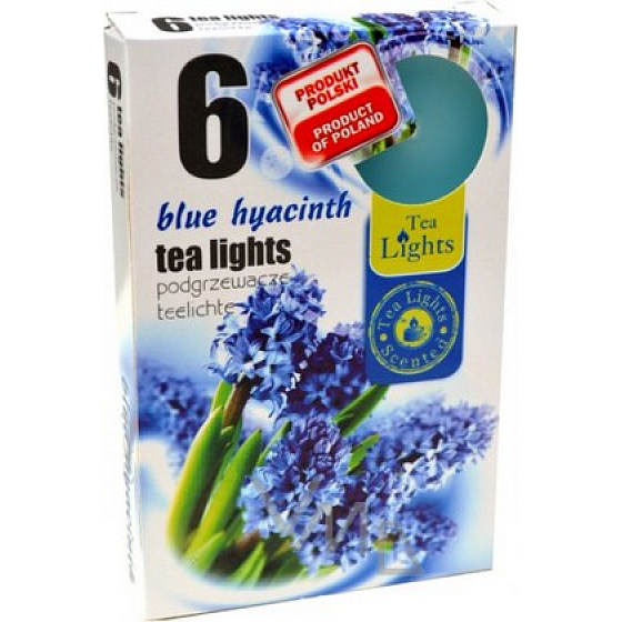 Teelichter Blaue Hyazinthe duftende Teelichter 6 Stück