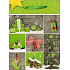 Nekupto Geschenk Papiertüte 32,5 x 26 x 13 cm Weihnachten 1241 50 WBL
