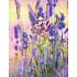 Nekupto Geschenk Papiertüte 23 x 18 x 10 cm Lila Blumen 1356 40 KFM