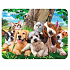 Prime3D Magnet - Welpen 9 x 7 cm
