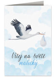 Nekupto Babywunschkarte Storch mit Baby blau 115 x 170 mm