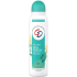 CD Feel Fresh Eukalyptus & Strohblume Körperdeo-Spray 150 ml