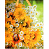 Nekupto Geschenk Papiertüte 14 x 11 x 6,5 cm Blumen