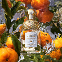 Guerlain Aqua Allegoria Mandarine Basilicum Eau de Toilette für Frauen 75 ml