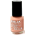 Regina Minilak Nagellack Nr. 67 Braun 5 ml