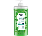 Dixi Birch Shampoo 1 l