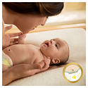Pampers Premium Care 2 Mini 3-6 kg Einwegwindeln 80 Stück