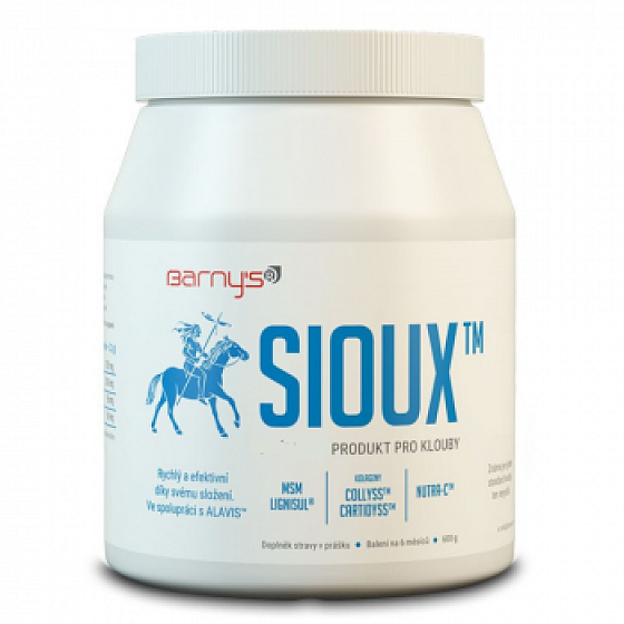 Barnys Sioux MSM für Gelenke und den gesamten Bewegungsapparat 600 g