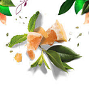 Herbal Essences Volume White Grapefruit & Mosa Shampoo mit Grapefruit und Minze, für größeres Haarvolumen, ohne Parabene 400 ml
