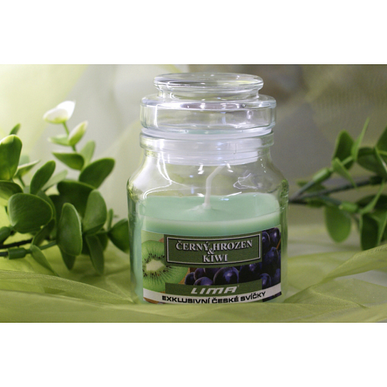 Lima Aroma Dreams Aromatisches Kerzenglas aus schwarzer Traube und Kiwi mit Deckel 120 g