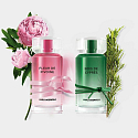 Karl Lagerfeld Bois de Cypres Eau de Toilette für Männer 100 ml