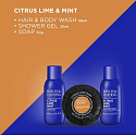 Baylis & Harding Auto Citrus, Limette und Minze Duschgel 30 ml + Waschgel für Körper und Haare 30 ml + feste Seife 50 g, Kosmetikset für Männer