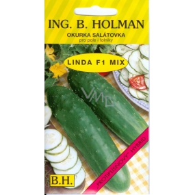 HolmanF1 Linda Mix Gurkensalat 1,5 g