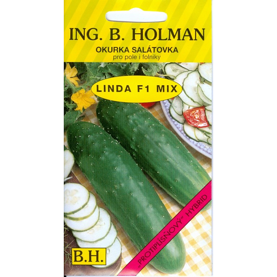HolmanF1 Linda Mix Gurkensalat 1,5 g