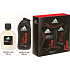 Adidas Team Force Eau de Toilette für Herren 100 ml + Duschgel 250 ml, Geschenkset