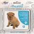 Nekupto Haustiere Magnetbild Shar Pei