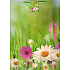 Nekupto Geschenk Papiertüte 32,5 x 26 x 13 cm Wiese 1307 50 KFL