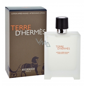Hermes Terre D Hermes AS 100 ml Herren Aftershave
