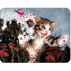Prime3D Postkarte - Kätzchen 16 x 12 cm