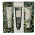 Heathcote & Ivory Tender Palm Pflegecreme für Hände und Nägel 3 x 30 ml, Kosmetikset