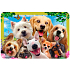 Prime3D Tischsets - Tier-Selfie 50 x 30 cm