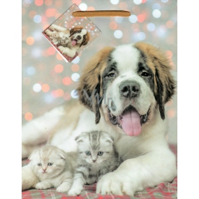 Nekupto Geschenk Papiertüte 18 x 23 x 10 cm Hund mit Kätzchen 1772 01 KFM