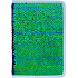 Albi Diary 2020 wöchentliche Paillette Grün 19 x 13 x 0,7 cm