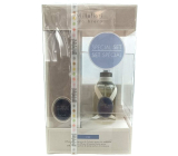 Millefiori Milano Zona Spa & Massage Thai - Thai Spa und Massage Diffusor 100 ml + 7 Stiele 25 cm lang für kleinere Räume dauert 5-6 Wochen