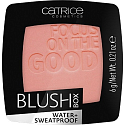 Catrice Blush Box erröten 025 Nude Peach 6 g