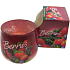 Santo Candles Berries Duftkerze in Glas 100 g