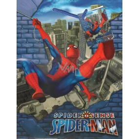 Ditipo Geschenk Papiertüte 18 x 10 x 22,7 cm Disney Spiderman