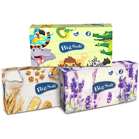 Big Soft Deluxe Kosmetikpapierservietten 2-lagig in einer Schachtel mit 100 Stück