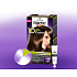 Schwarzkopf Palette 10 Minuten Haarfarbe 550 Goldbraun